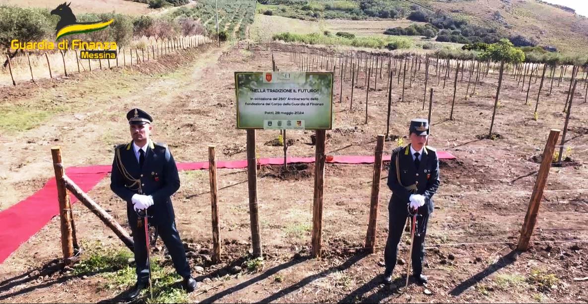 Gdf Messina Piantati 250 Alberi Nella Riserva Naturale Orientata